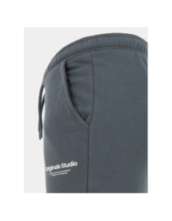 Short molleton jpstvesterbro gris garçon - Jack & Jones