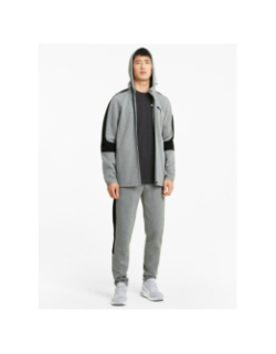 Sweat à capuche zippé evostripe core gris homme - Puma