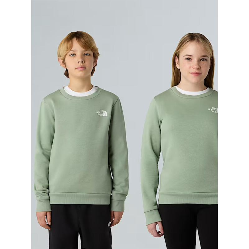 Sweat à col rond simple dome vert enfant - The North Face