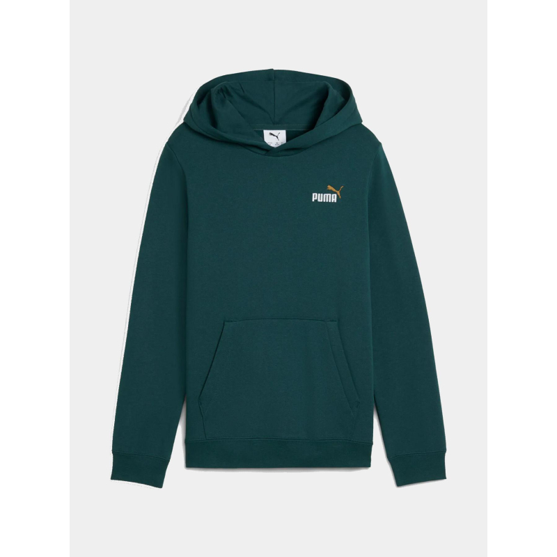 Sweat à capuche ess2 color small logo vert enfant - Puma