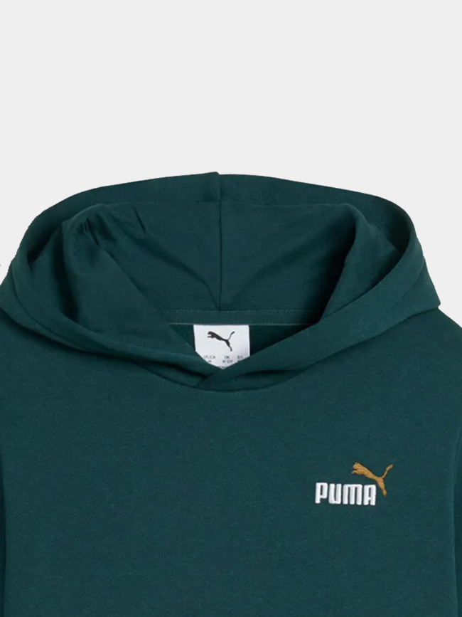 Sweat à capuche ess2 color small logo vert enfant - Puma