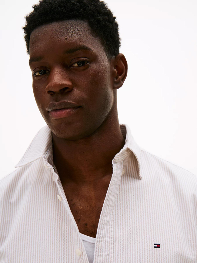 Chemise en coton oxford à rayures blanc et marron homme - Tommy Hilfiger