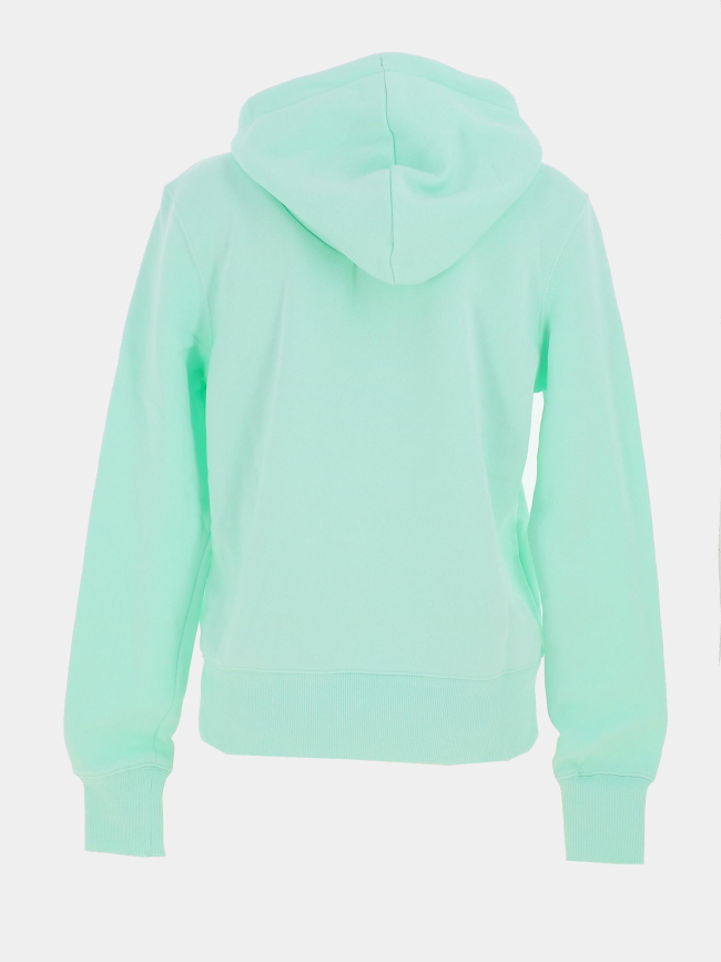 Sweat à capuche phoenix fleece vert d'eau femme - Nike