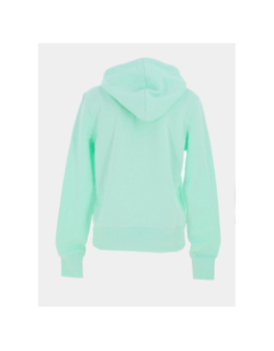 Sweat à capuche phoenix fleece vert d'eau femme - Nike