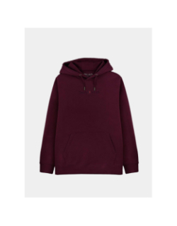 Sweat à capuche s-jim bordeaux homme - Teddy Smith