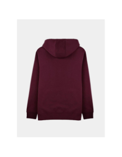 Sweat à capuche s-jim bordeaux homme - Teddy Smith