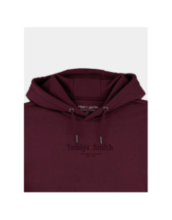 Sweat à capuche s-jim bordeaux homme - Teddy Smith