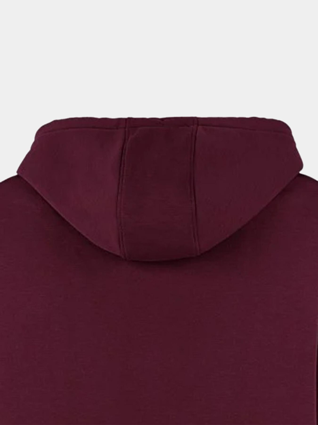 Sweat à capuche s-jim bordeaux homme - Teddy Smith