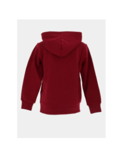 Sweat à capuche hooded bordeaux enfant - Champion