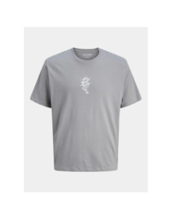 T-shirt à manches courtes jjmiko gris garçon - Jack & Jones