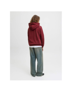 Sweat à capuche abbie relax cabernet bordeaux femme - Jjxx