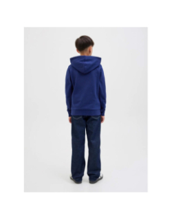 Sweat à capuche jorskull nature bleu marine garçon - Jack & Jones