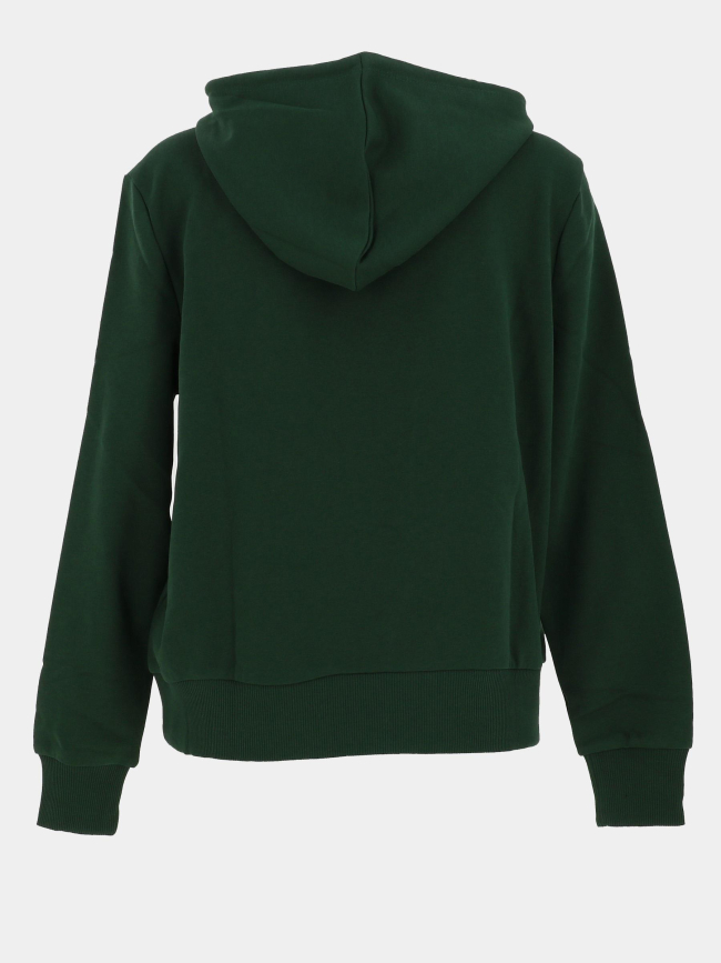 Sweat à capuche maia believe vert femme - Only
