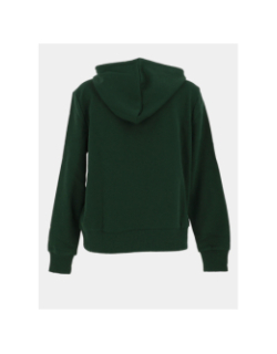 Sweat à capuche maia believe vert femme - Only