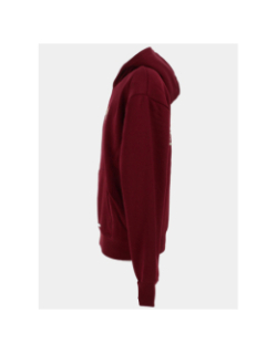 Sweat à capuche wild spirit bordeaux homme - Project X Paris
