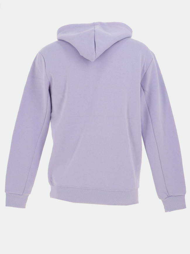 Sweat à capuche à logo relief violet homme - Project X Paris