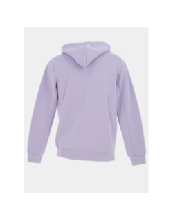 Sweat à capuche à logo relief violet homme - Project X Paris