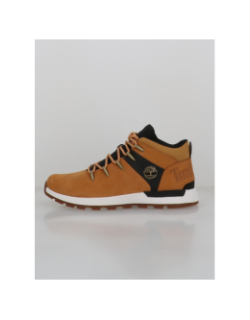 Chaussures sprint trekker beige homme - Timberland