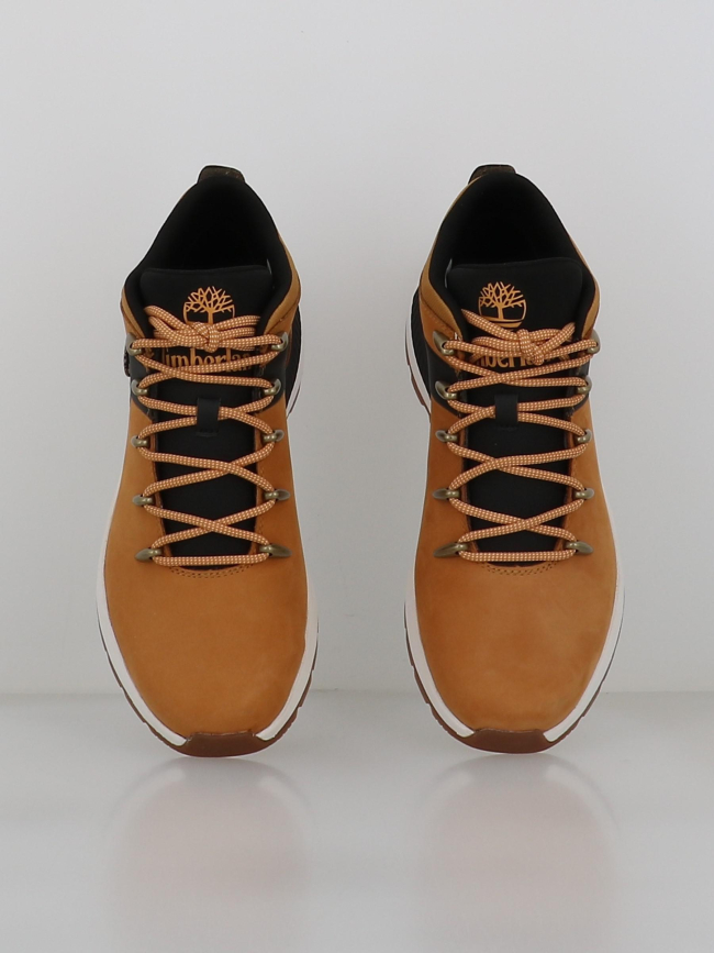 Chaussures sprint trekker beige homme - Timberland