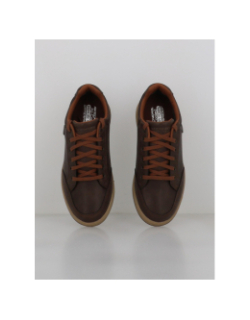 Baskets cavell-sparkman marron homme - Skechers