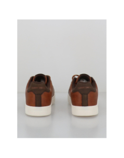 Baskets zapato cro c. marron homme - Teddy Smith