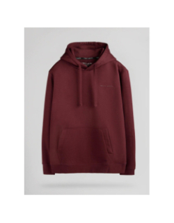 Sweat à capuche nark bordeaux homme - Teddy Smith