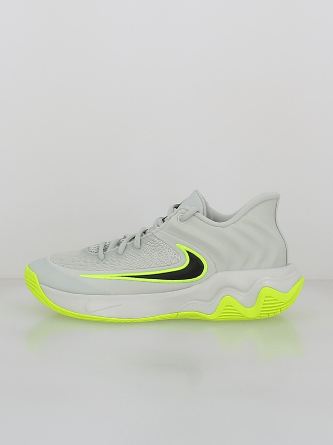 Chaussures de basketball giannis immortality 4 gris - Nike