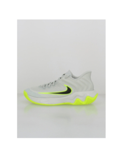 Chaussures de basketball giannis immortality 4 gris - Nike