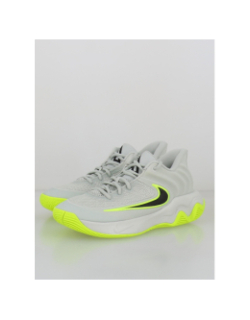 Chaussures de basketball giannis immortality 4 gris - Nike