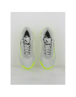 Chaussures de basketball giannis immortality 4 gris - Nike