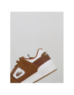 Baskets court cage 225 marron blanc homme - Lacoste