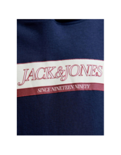 Sweat à capuche jorinwood bleu marine garçon - Jack & Jones