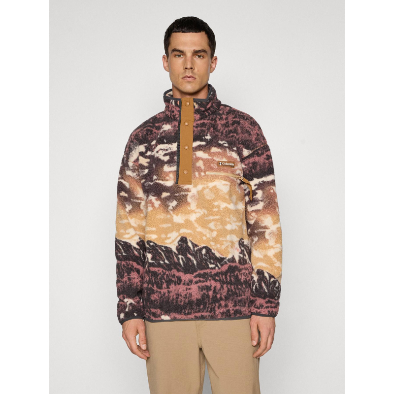 Polaire streetwear avec imprimé helvetia marron homme - Colombia