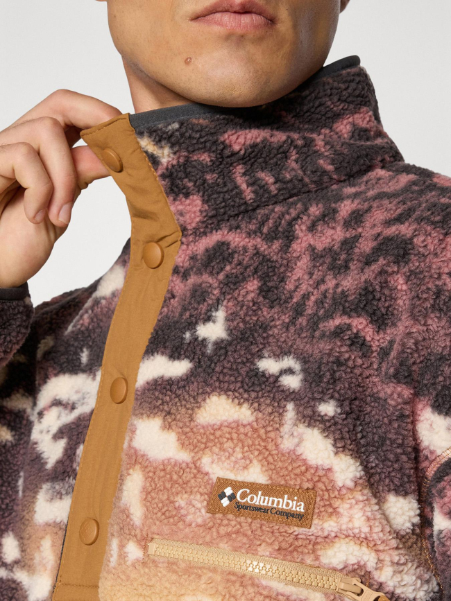 Polaire streetwear avec imprimé helvetia marron homme - Colombia