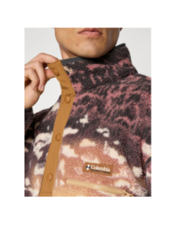 Polaire streetwear avec imprimé helvetia marron homme - Colombia