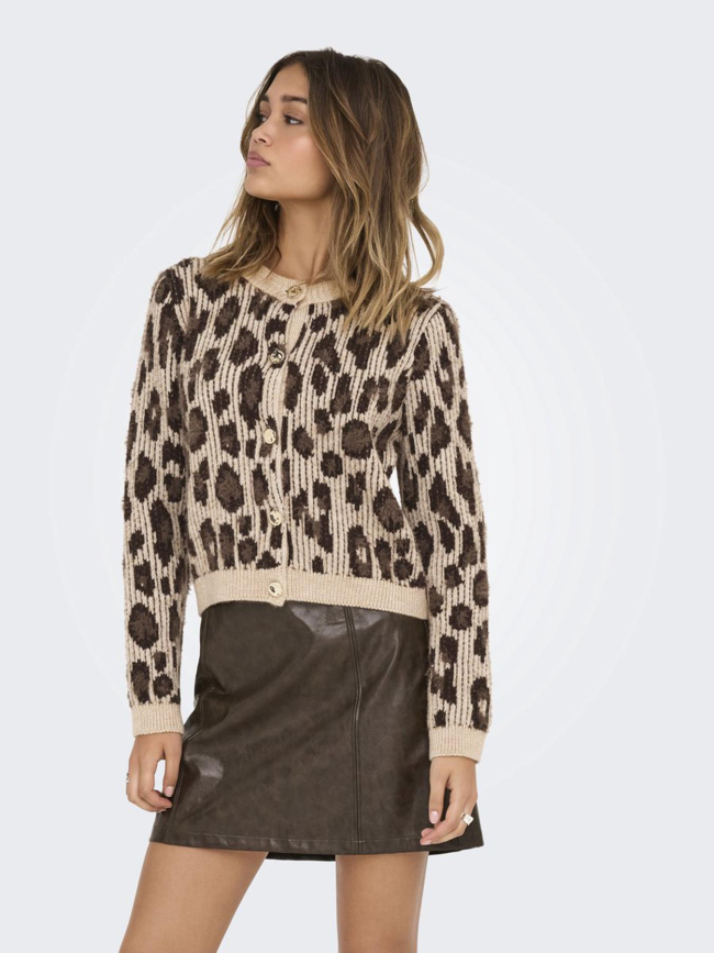 Gilet cardigan sybille marron femme - Only