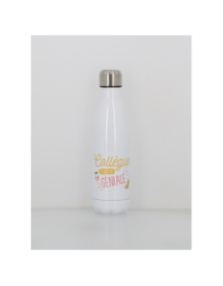 Gourde isotherme collègue géniale 500ml blanc - Stc