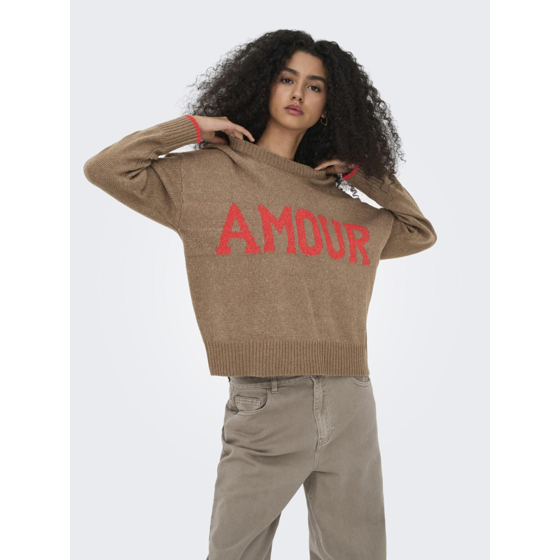 Pull en maille onlnew amour marron femme - Only