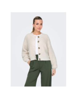 Gilet cardigan eira life blanc femme - Jdy