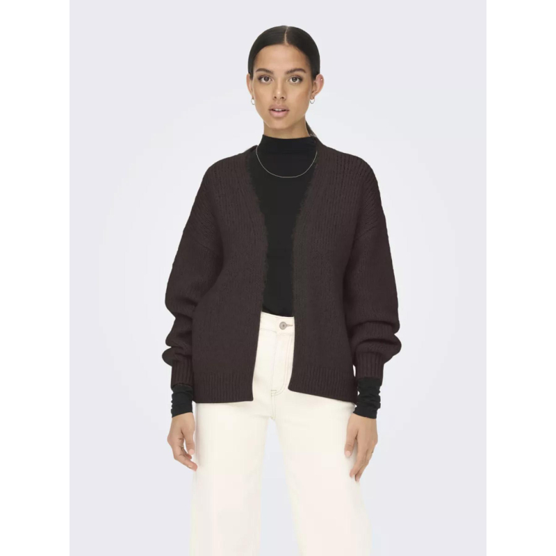 Gilet cardigan dinea marron femme - Jdy