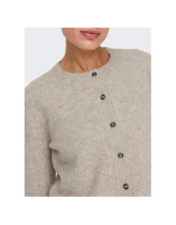 Gilet cardigan chloé life beige femme - Jdy