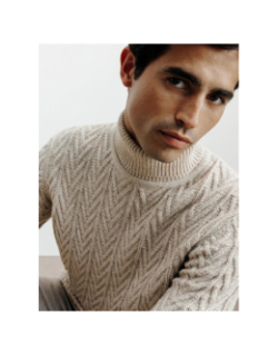 Pull col roulé borsade beige homme - Izac