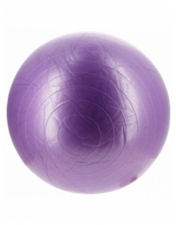 Balle de gym pvc diam 75 cm violet - Sveltus