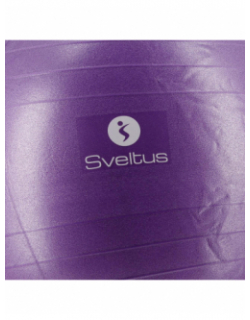 Balle de gym pvc diam 75 cm violet - Sveltus