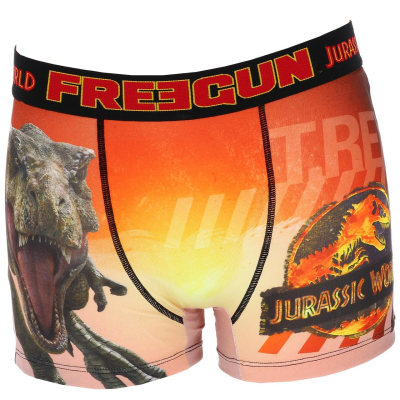 Boxer jurassic world t-rex multicolore homme - Freegun