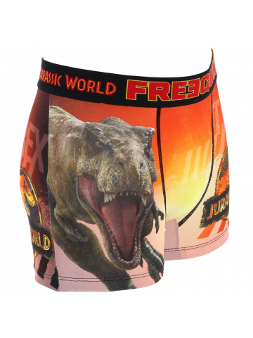 Boxer jurassic world t-rex multicolore homme - Freegun