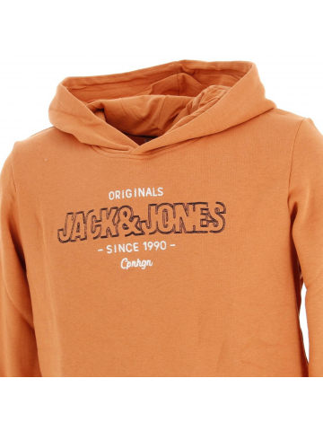 Sweat à capuche surface orange garçon - Jack & Jones