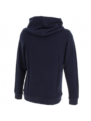 Sweat à capuche bjorn bleu marine garçon - Jack & Jones