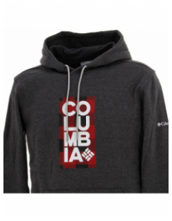 Sweat à capuche basic logo gris homme - Columbia