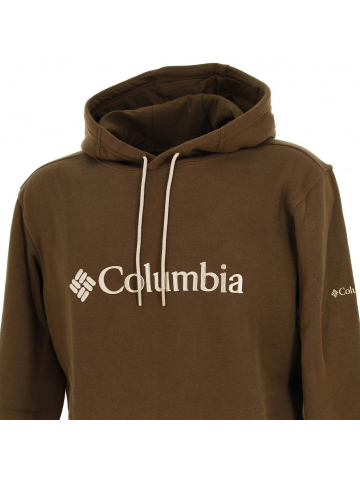 Sweat à capuche basic logo kaki homme - Columbia